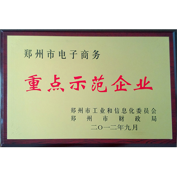 重點(diǎn)示范企業(yè)