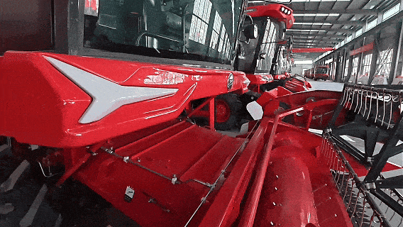 9.gif
