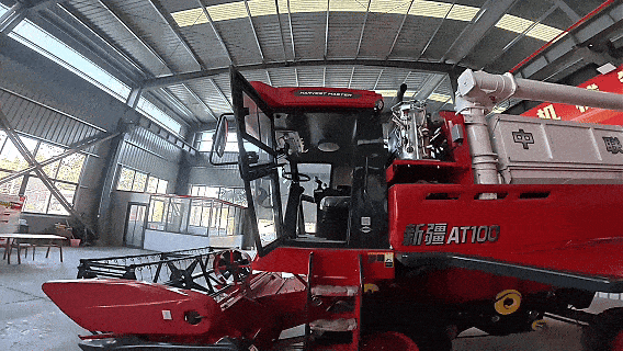 8.gif